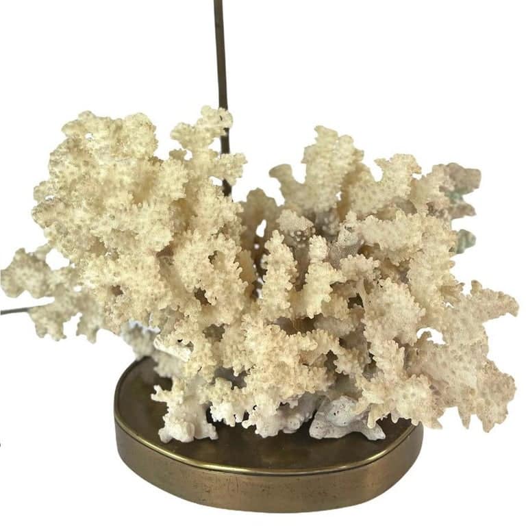 Table Lamp Brass with Coral in the Style of Willy Daro