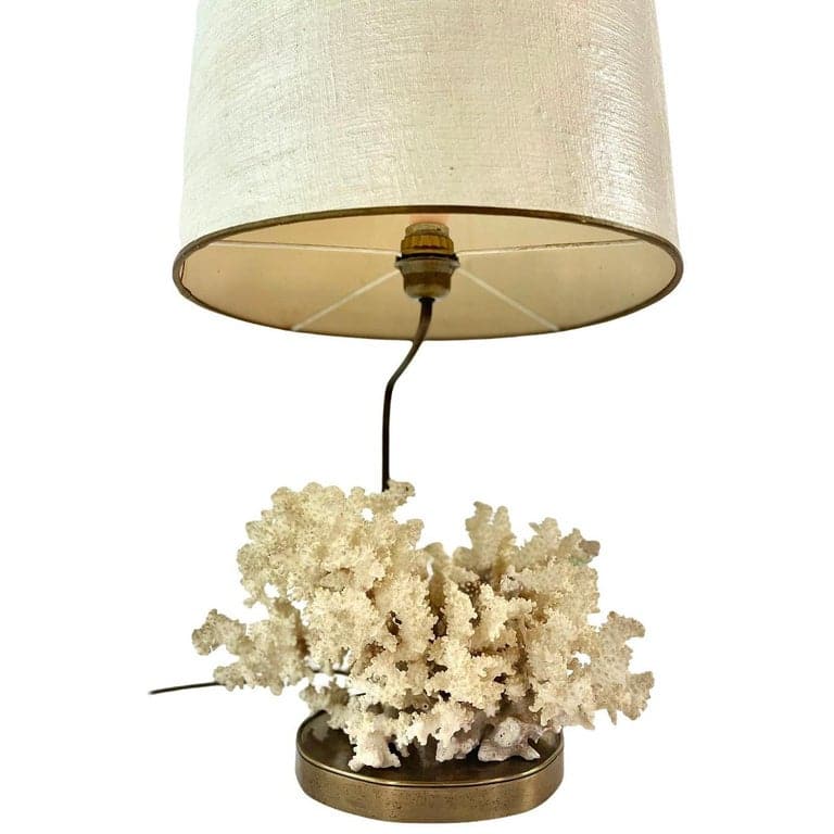 Table Lamp Brass with Coral in the Style of Willy Daro